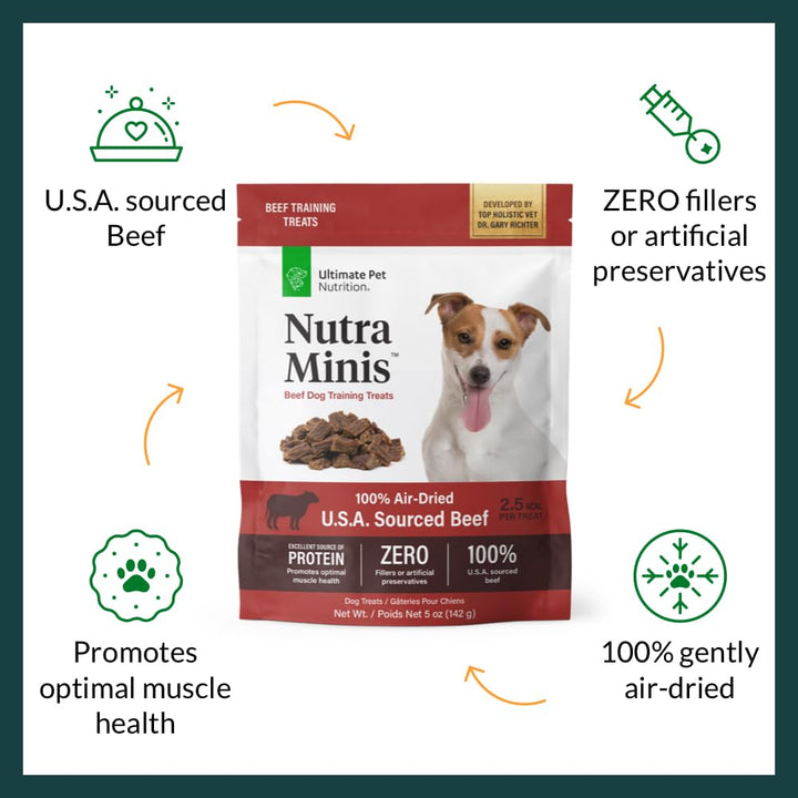 Nutra Minis air-dried texture close-up highlights aroma and chew.