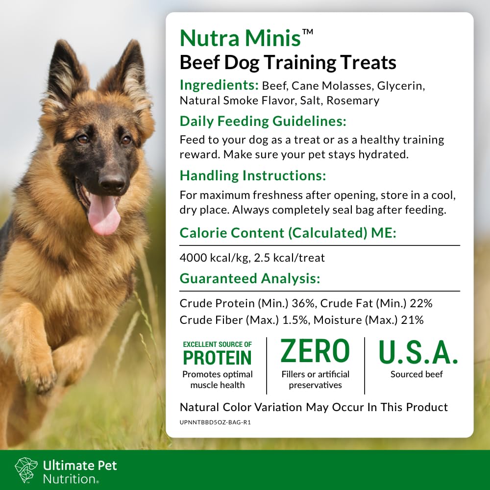 Nutra Minis training-reward in action, easy to break for quick cues.