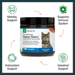Nutra Thrive serving spoon shows easy daily dosing for busy pet owners