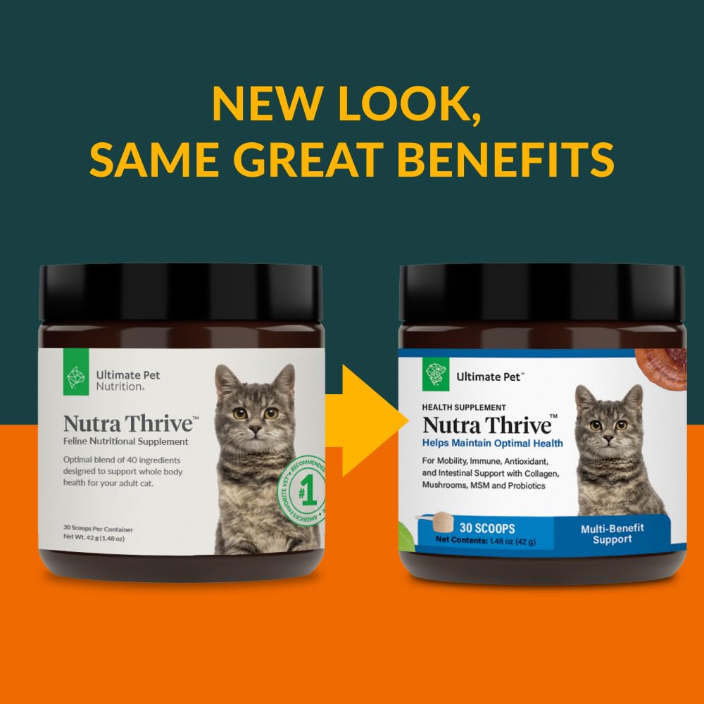 Nutra Thrive tasty chicken flavor mix encourages everyday supplement use