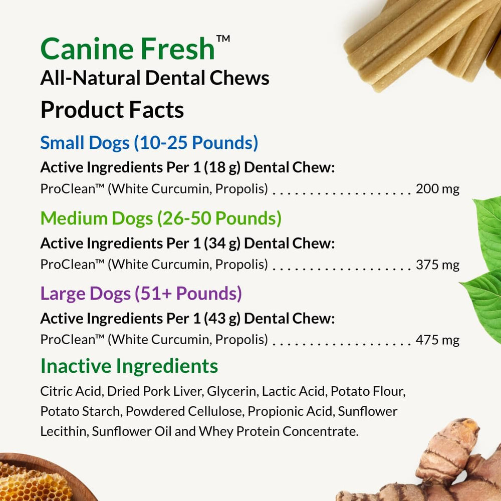 ProClean blend with propolis and white curcumin highlighted by Ultimate Pet Nutrition.
