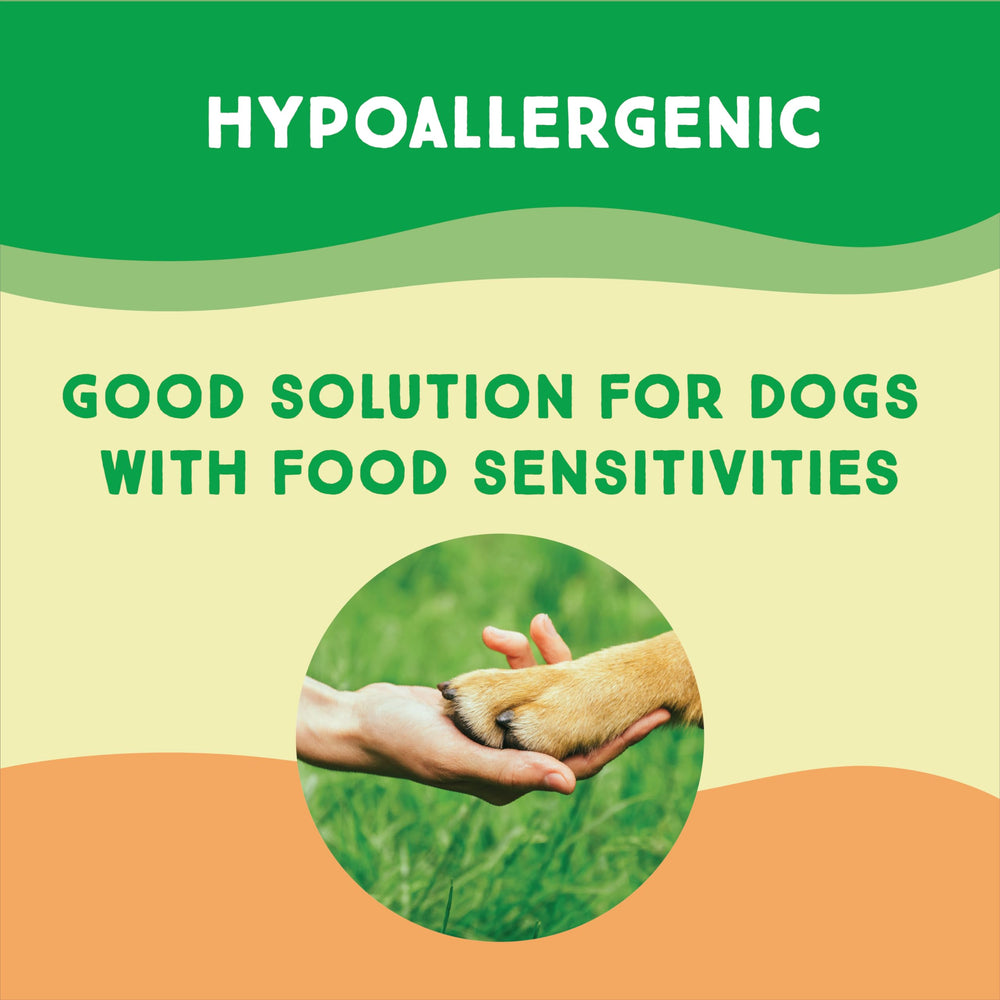 Small dog enjoying a hypoallergenic turkey tendon treat.