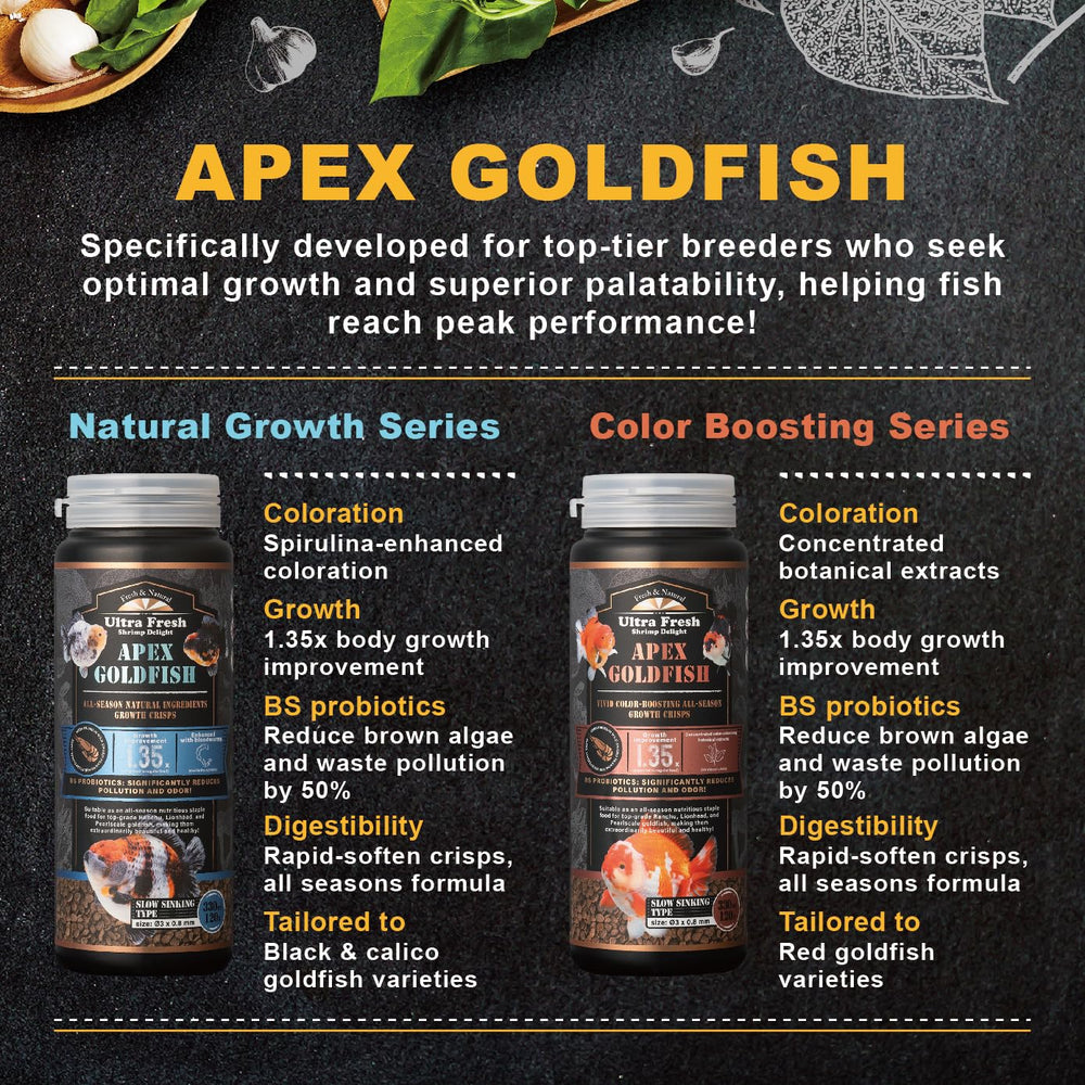 Ultra Fresh Apex color-boosted goldfish showing vibrant hues