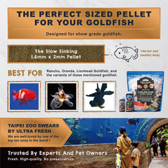 Ultra Fresh color-enhancing goldfish food bowl highlights vibrant color with natural ingredients