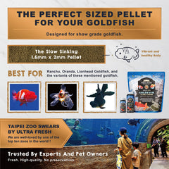 Ultra Fresh color-enhancing goldfish food pellets promote vibrant scales
