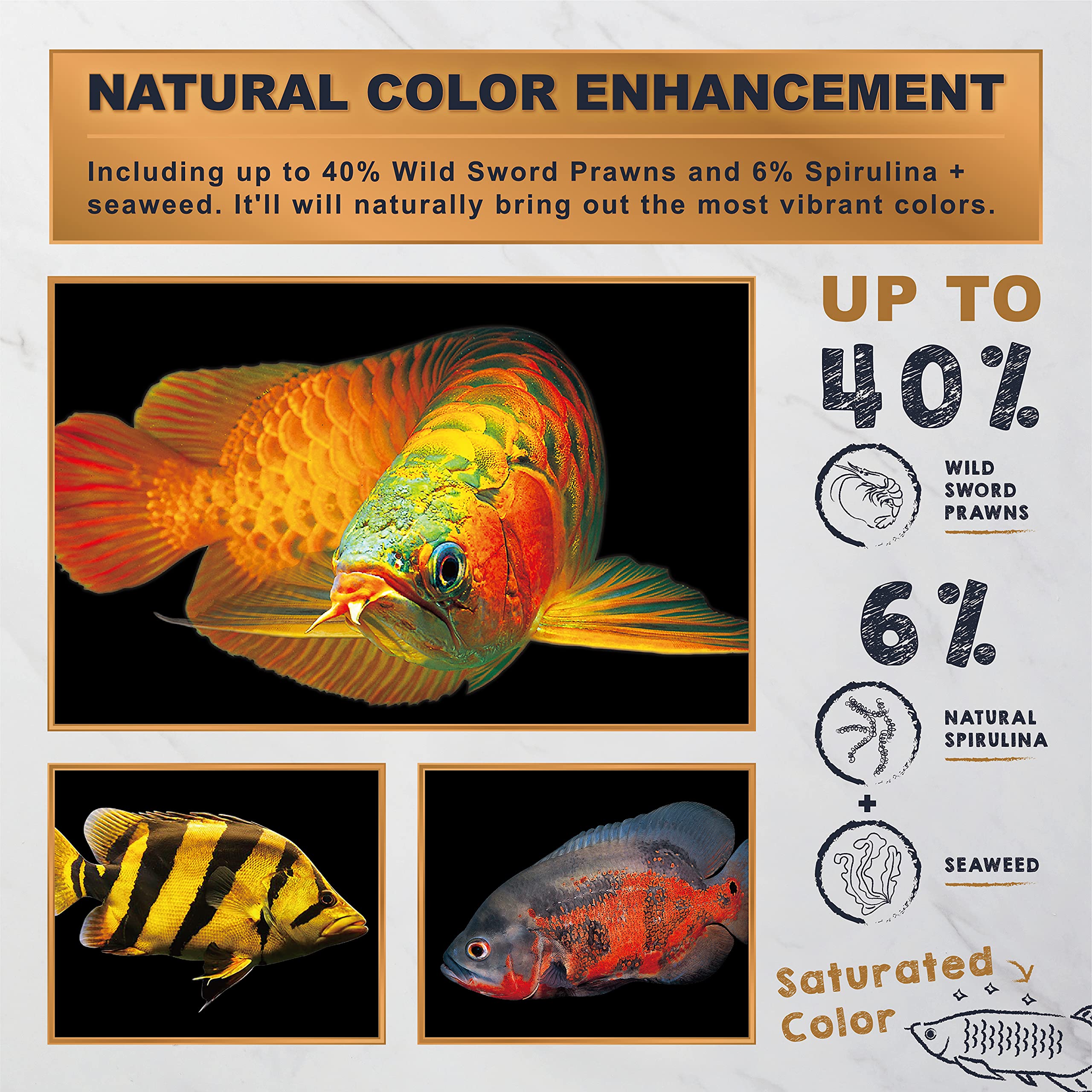 Natural coloration from Ultra Fresh Monster Fish Food with seaweed and spirulina enhancing color.
