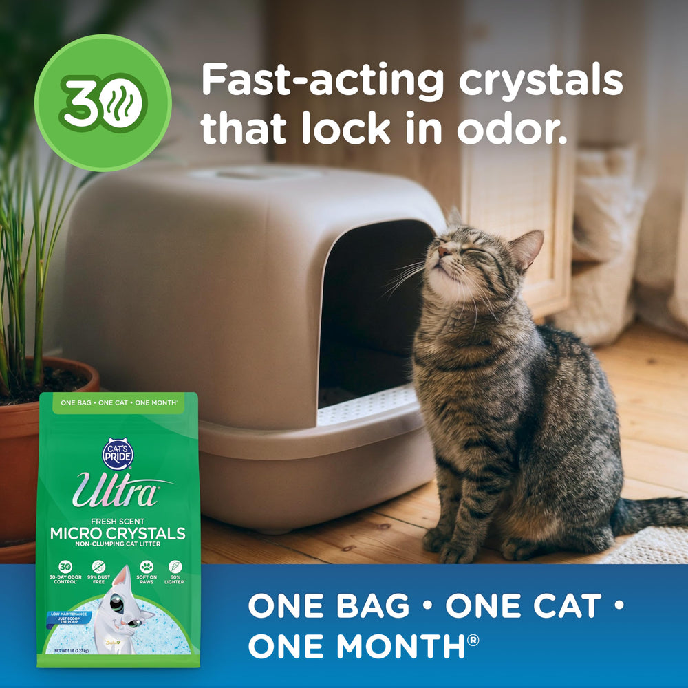 ULTRA Ultra Fresh crystals soft on paws seen on a cat's paws