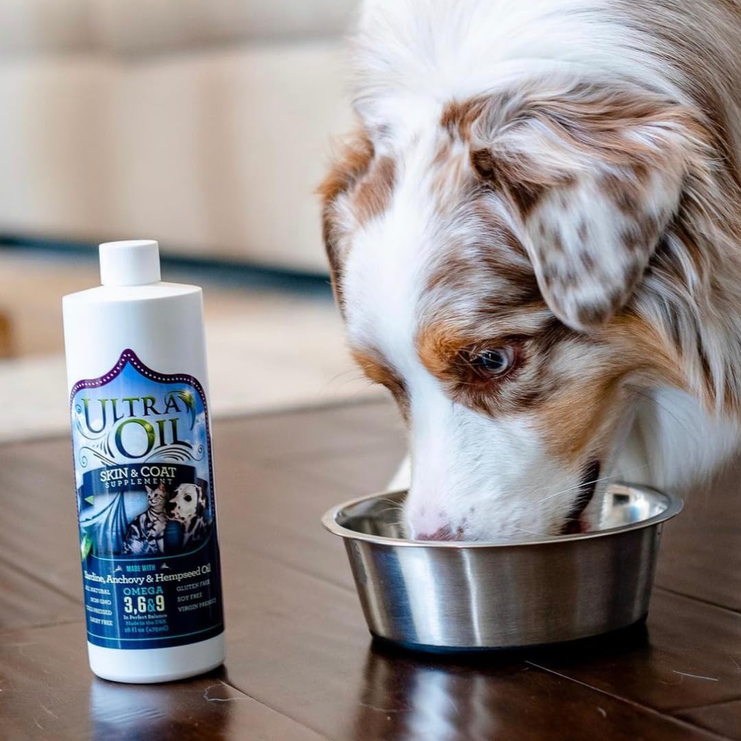 Ultra Oil Skin & Coat joint support illustration suggests improved mobility.