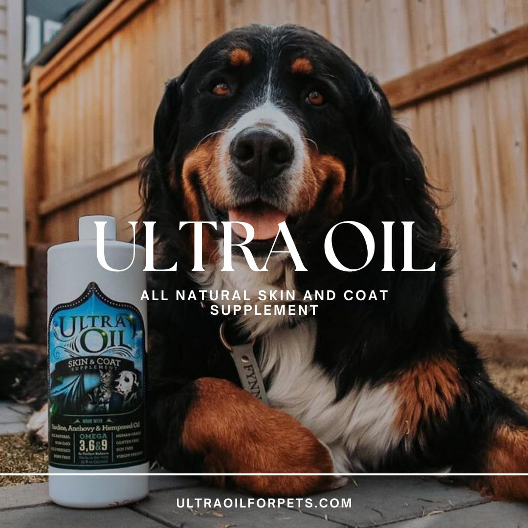 Ultra Oil mixed into dog or cat food for a healthier coat.