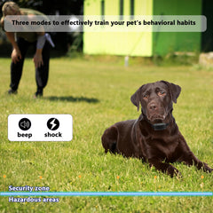 UltraCrab Basic IP68 waterproof collar ready for outdoor play and weather.