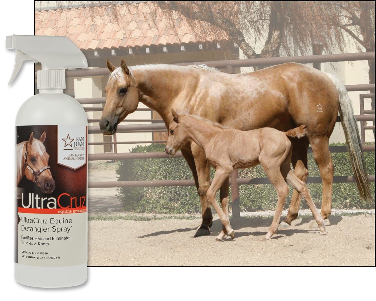 UltraCruz detangler applied to hair delivers silky shine and reduced breakage