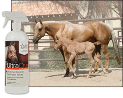 UltraCruz detangler applied to hair delivers silky shine and reduced breakage