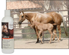 UltraCruz Bright White Shampoo coat shows glossy, healthy whiteness