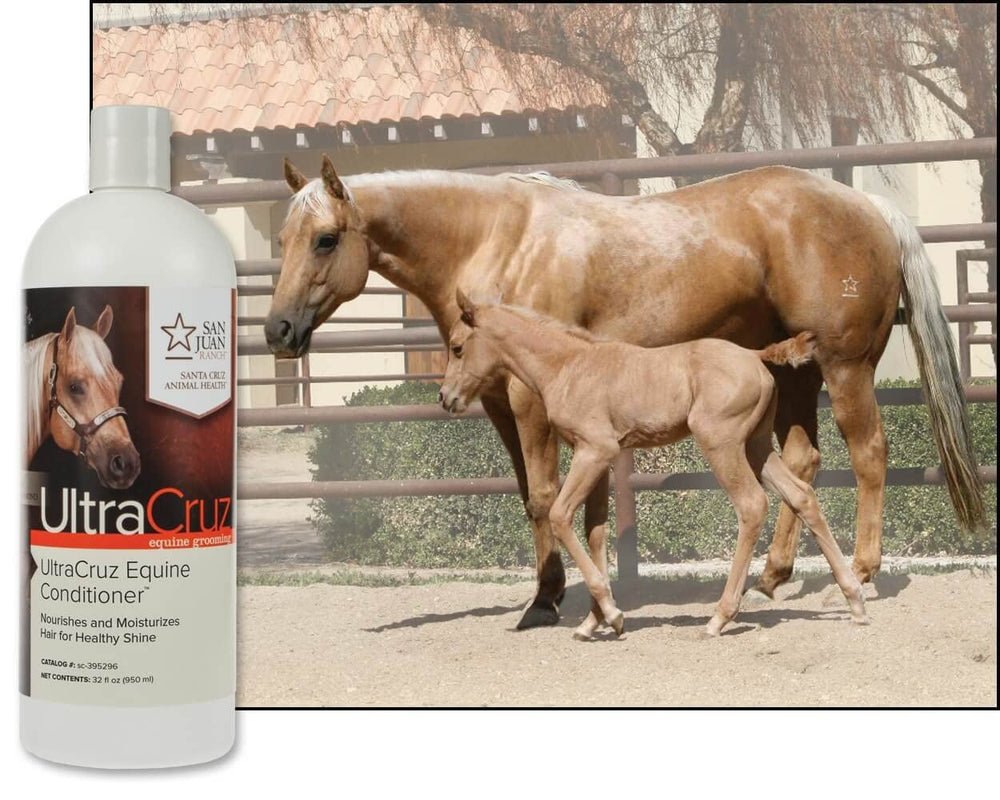 UltraCruz Equine Conditioner jar highlights hydrolyzed silk and collagen for hair strength.