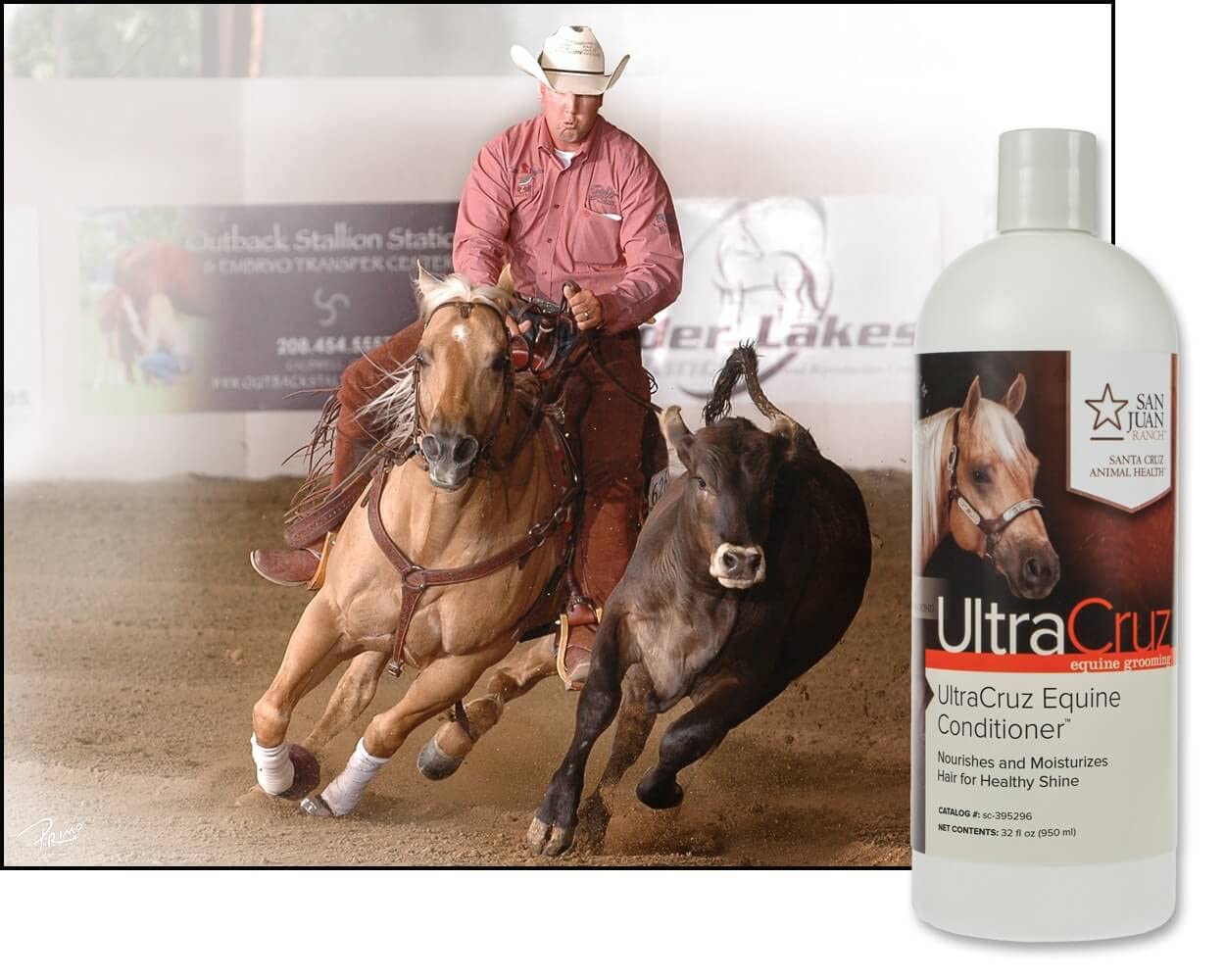 UltraCruz Equine Conditioner being applied to mane for detangling and moisture.