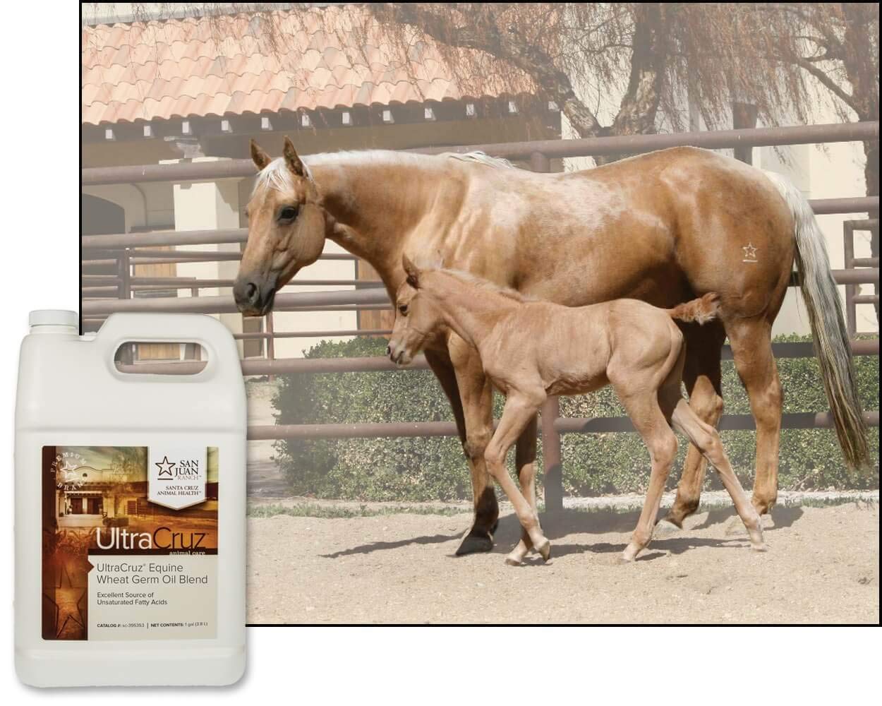 UltraCruz Equine Wheat Germ Oil Blend 1-gallon container ready to feed