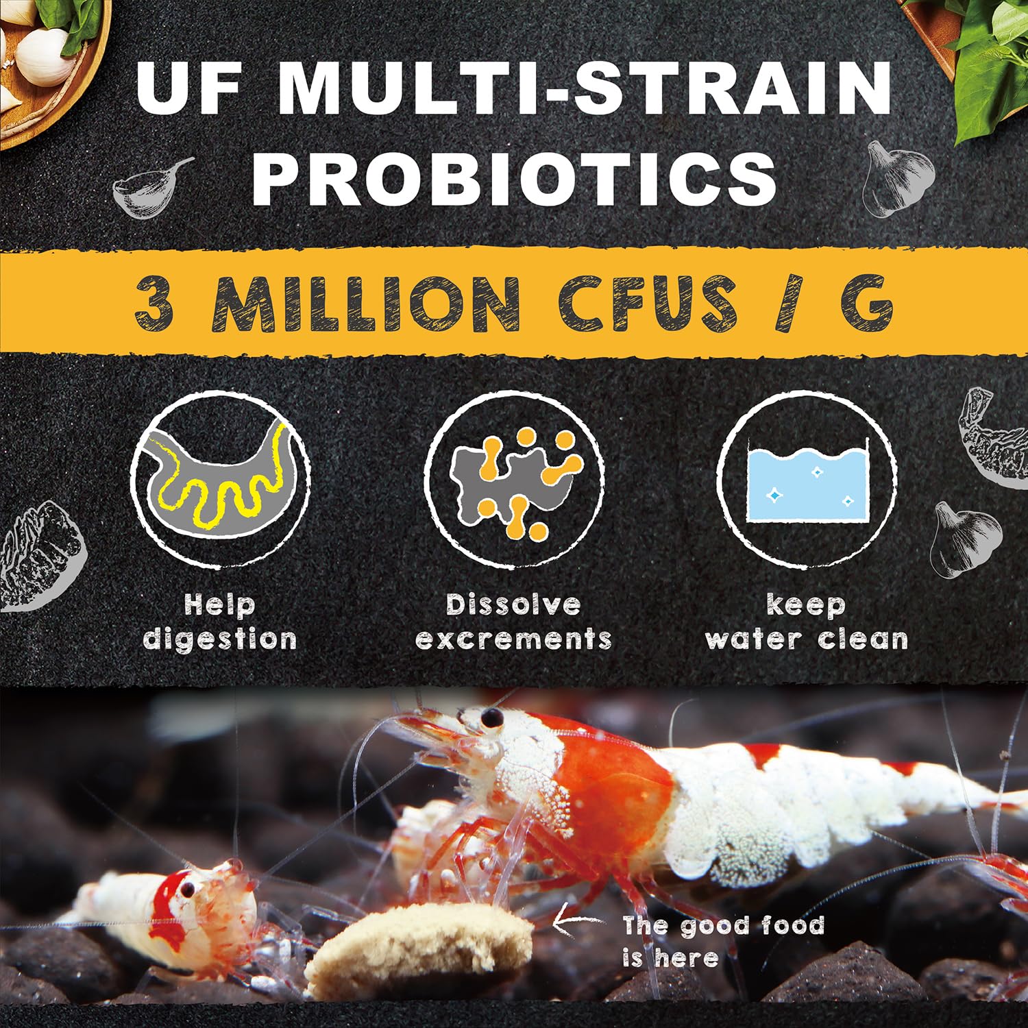In-aquarium image shows active feeding and enhanced color expression
