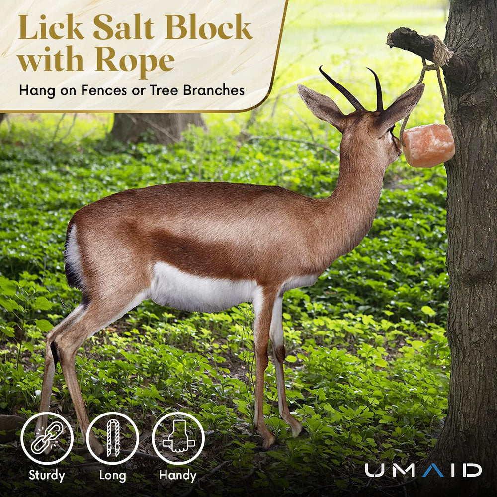 UMAID Himalayan salt block 6lb highlights natural rock form for grazing animals