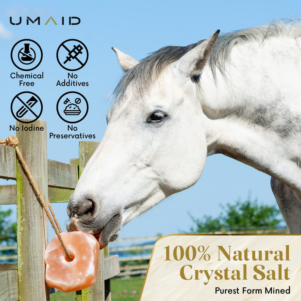 UMAID Himalayan salt lick close-up showing pink crystal texture