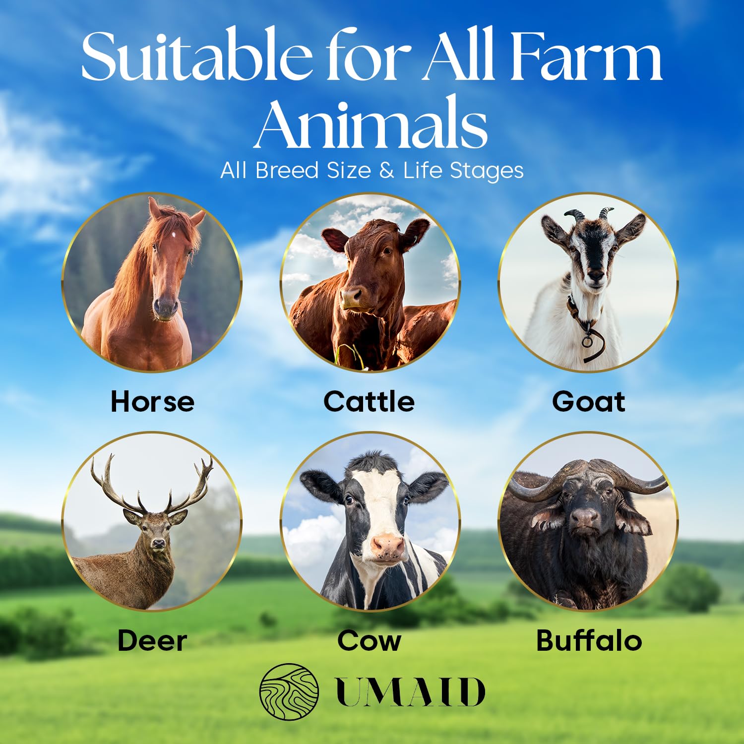 UMAID Himalayan Salt Lick for deer in open meadow