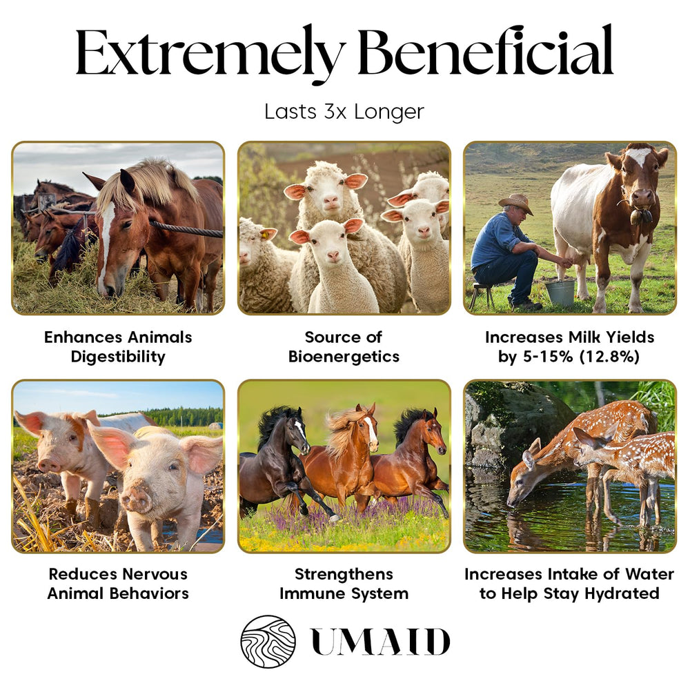 UMAID Himalayan Salt Lick on rope used by horse during grazing