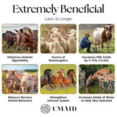 UMAID Himalayan Salt Lick on rope used by horse during grazing