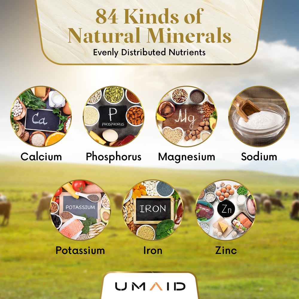 UMAID Himalayan salt lick close-up showing 84 trace minerals.
