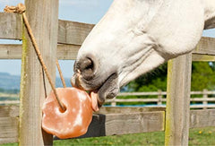 UMAID Himalayan salt lick on rope for goats provides minerals and enrichment