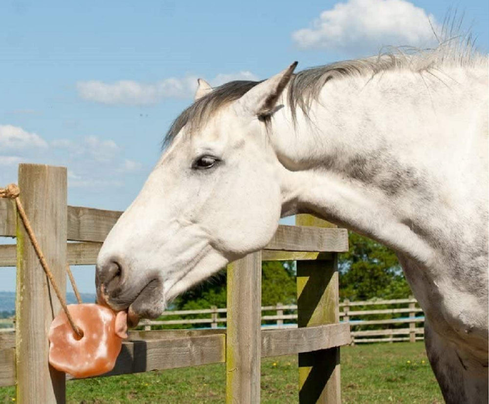 UMAID salt lick in pasture use supports outdoor enrichment