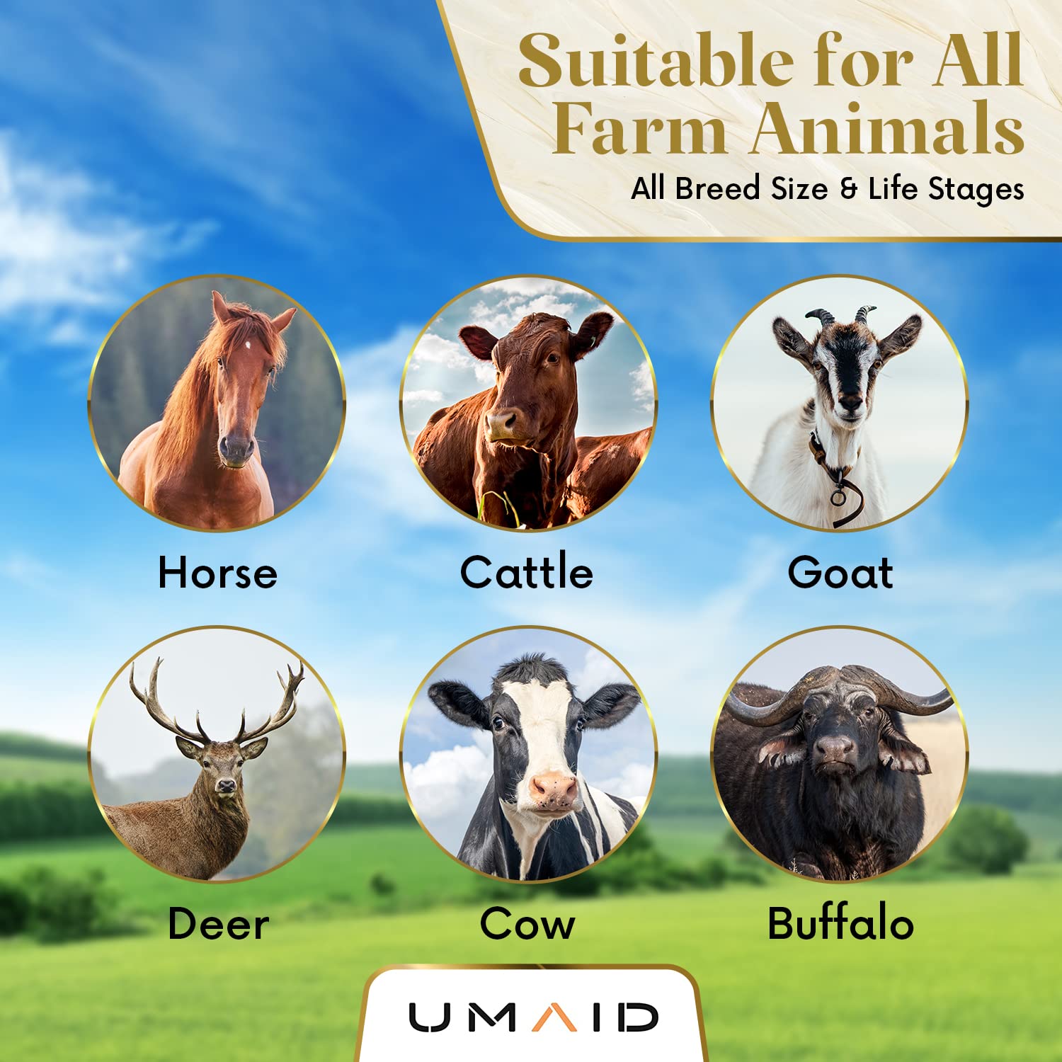 UMAID Salt Lick rope feature highlights durability and practicality.