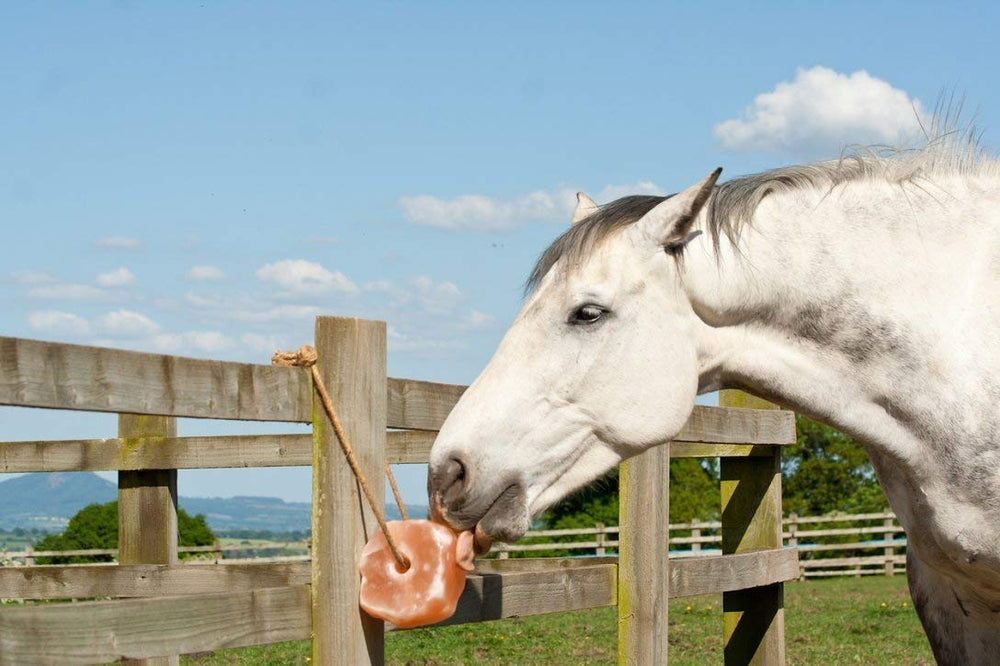 UMAID salt lick on rope hanging demonstrates easy farm installation for livestock