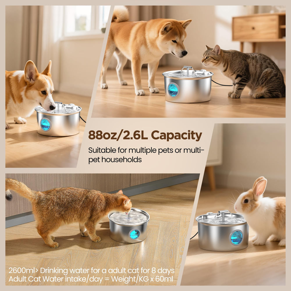 UMOCUOY cat water fountain 16-filter pack keeps water fresher.