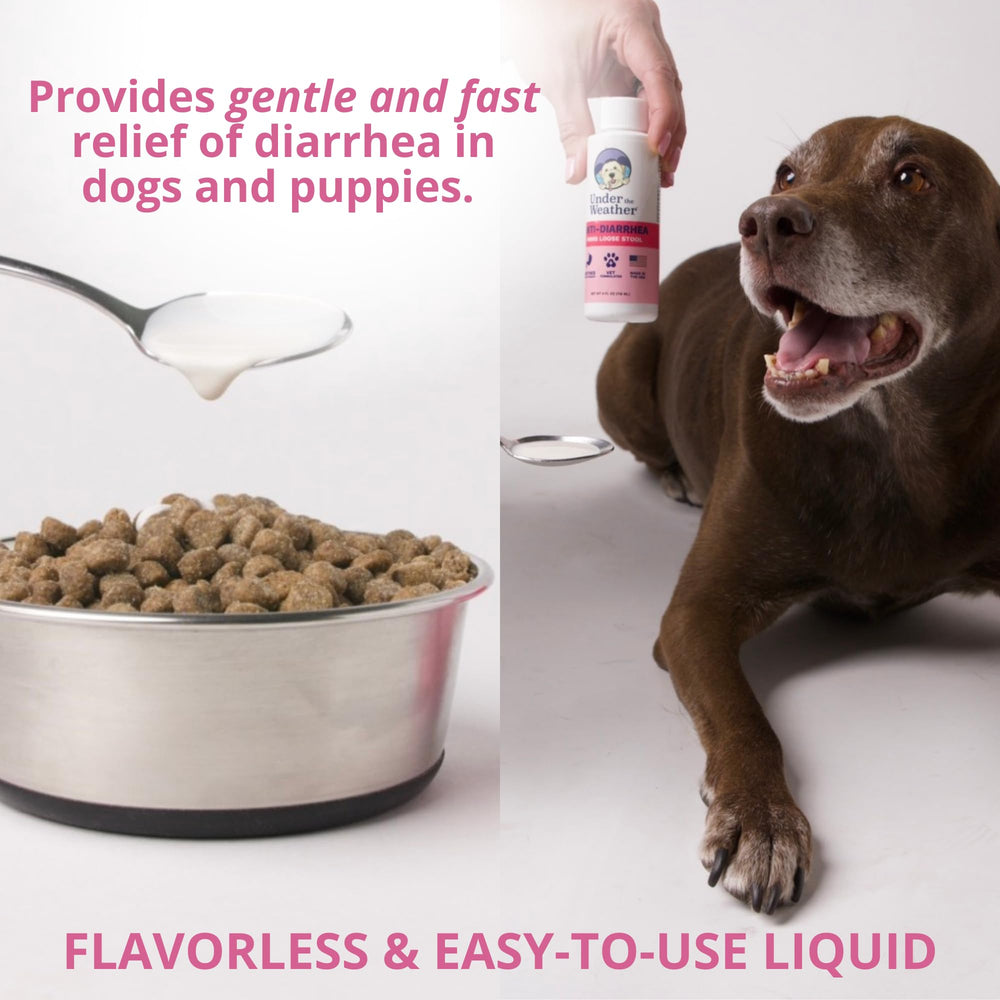 Under the Weather anti-diarrhea dog liquid dosing demonstrates simple Vet-formulated use