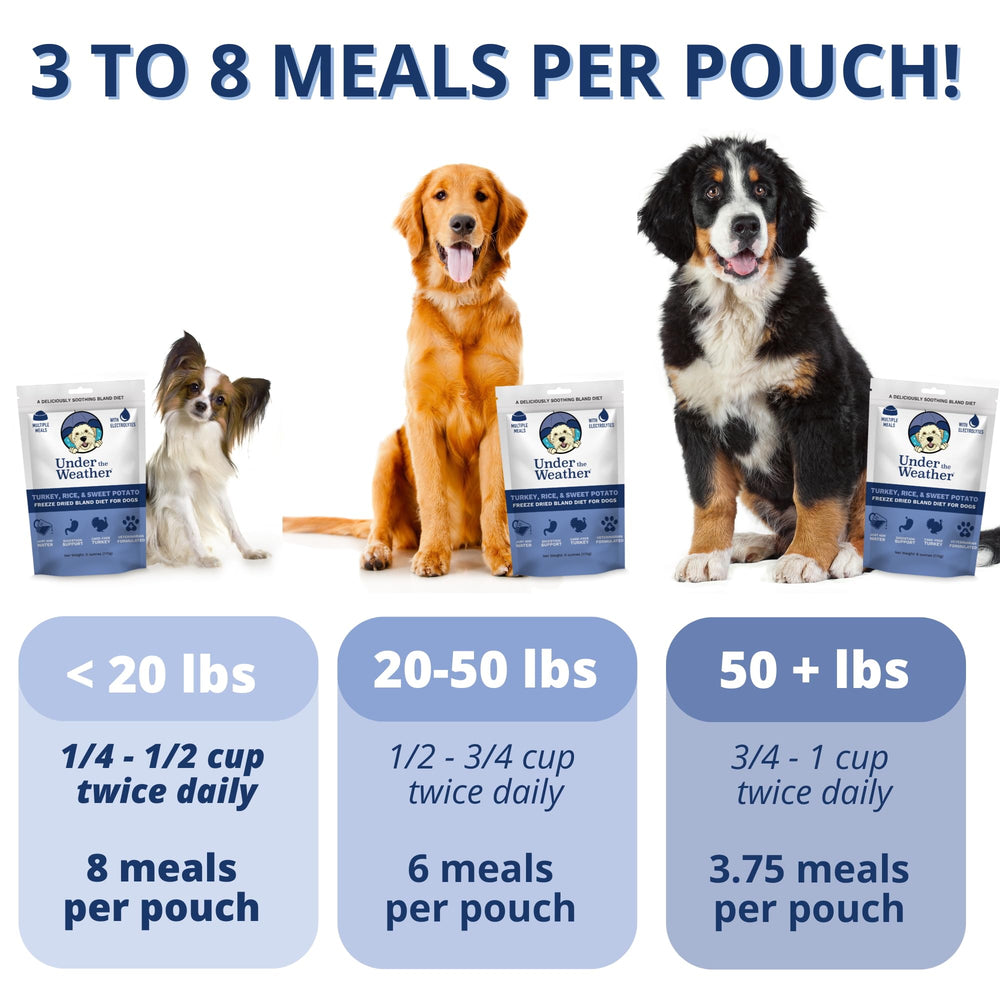 Dog being fed with water to rehydrate using Under the Weather Bland Diet.