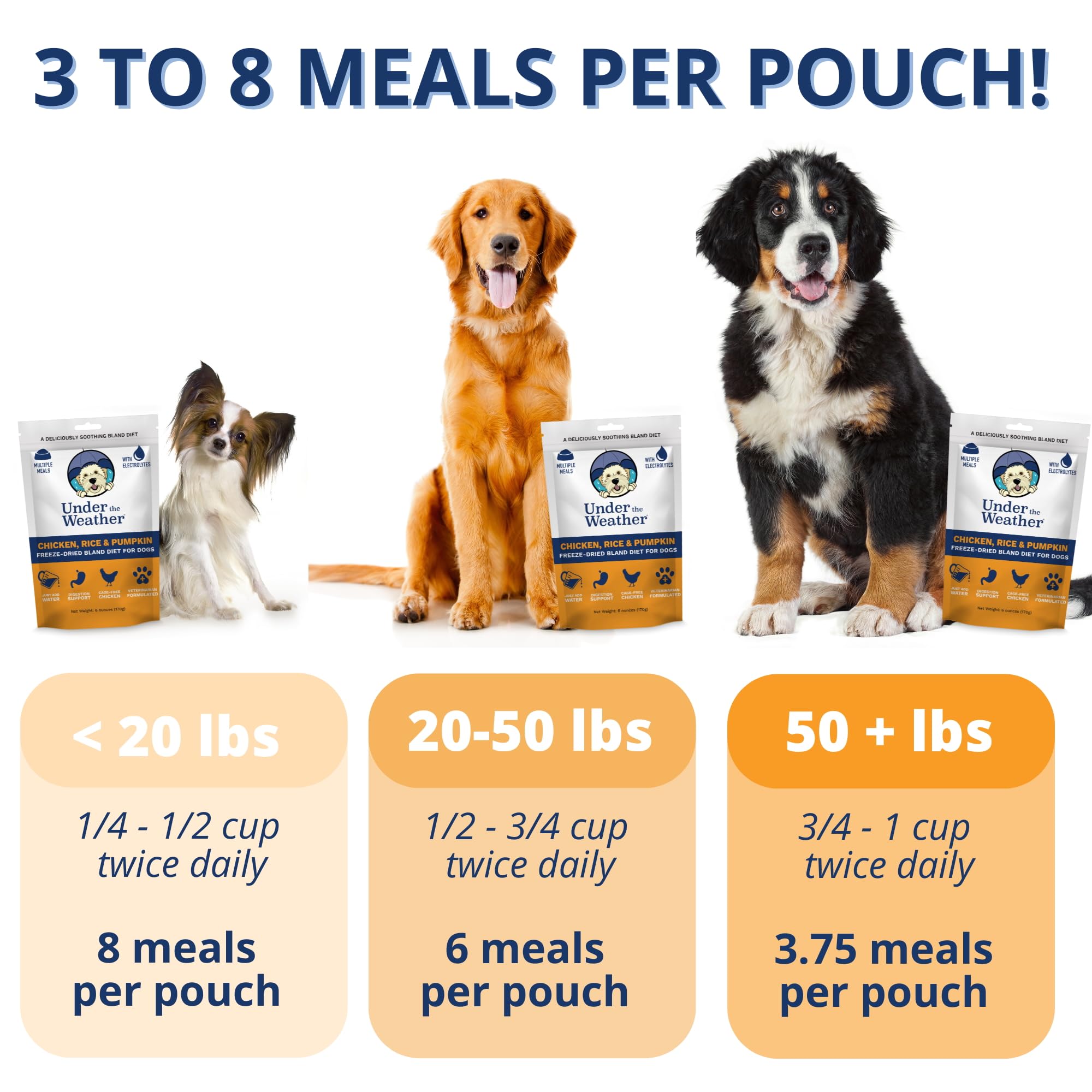 Under the Weather bland diet dog freeze-dried chicken close-up shows premium protein for easy digestion.