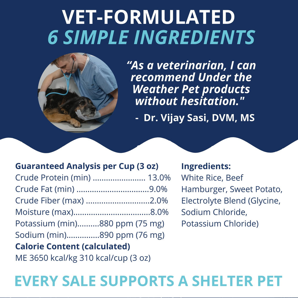 Under the Weather Bland Diet served as a gentle dog meal