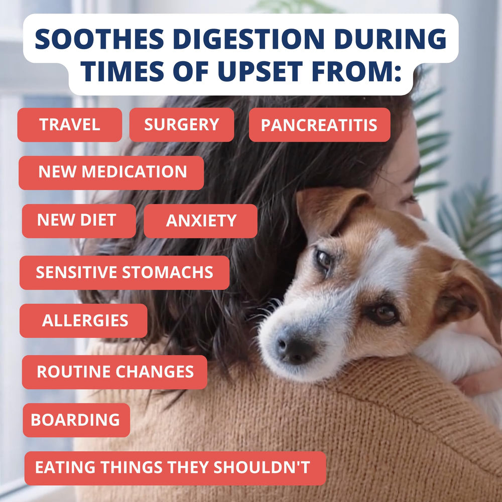 Under the Weather, vet-formulated dog food with human-grade ingredients and gluten-free options.