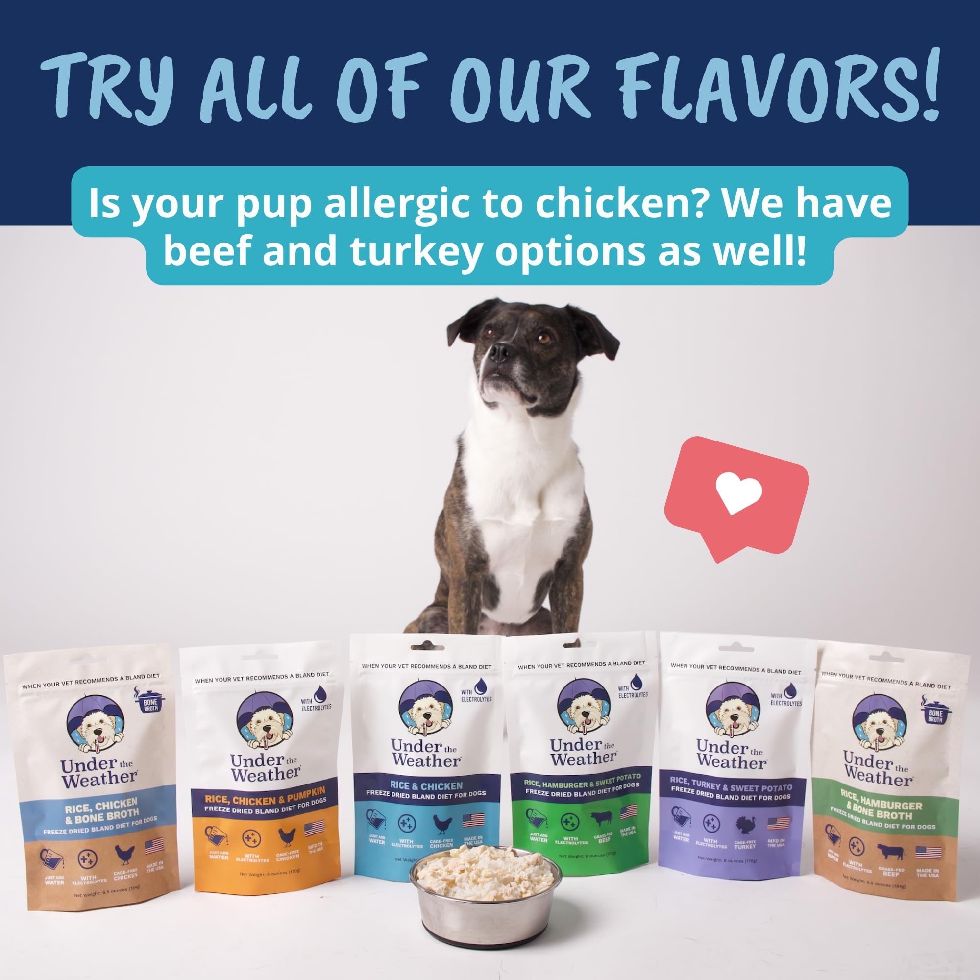 Back-of-pack label shows shelf life and EXP date on Under the Weather Bland Diet for Dogs