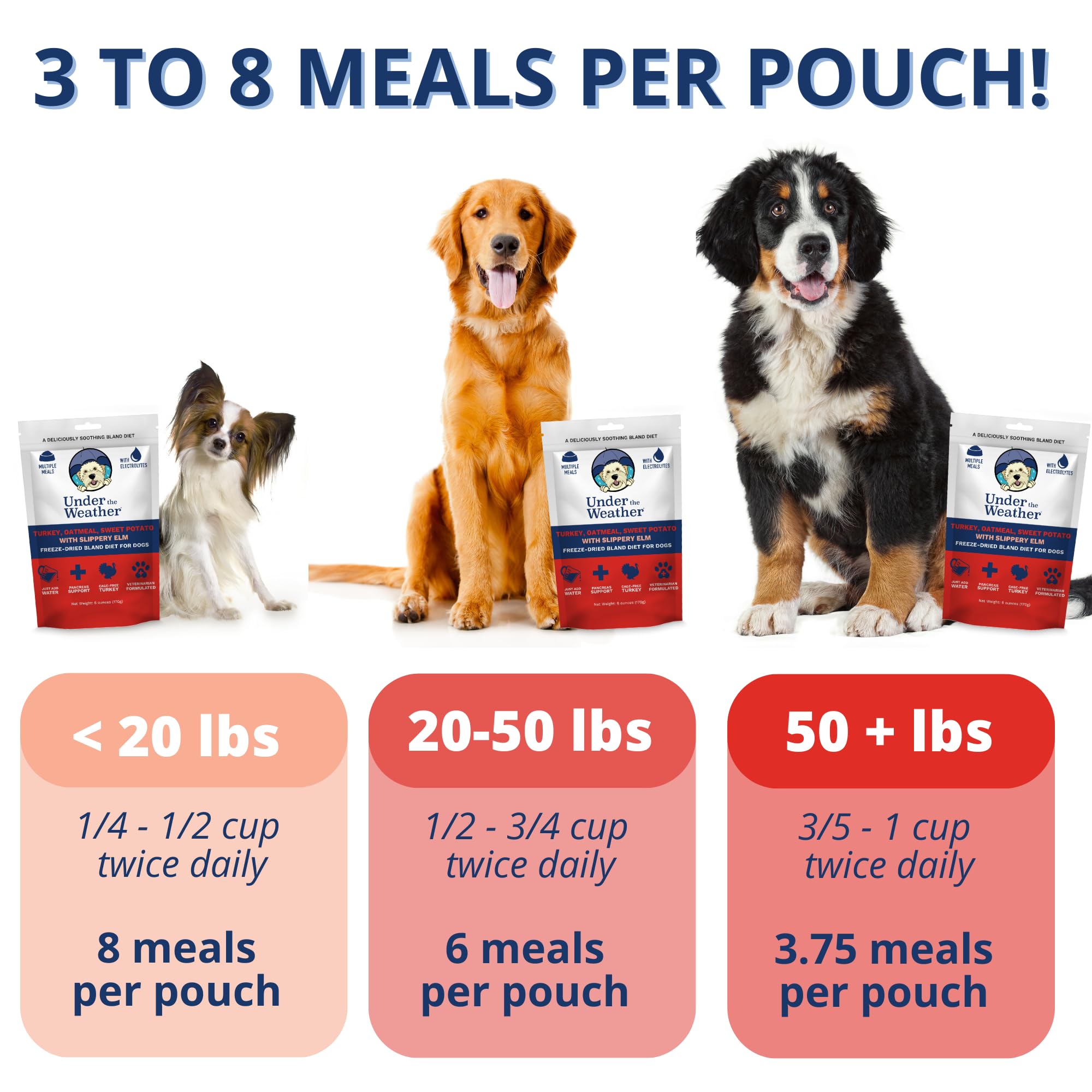 Under the Weather bland diet for dogs, rehydrates quickly when water is added.