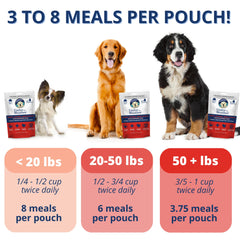 Under the Weather bland diet for dogs, rehydrates quickly when water is added.