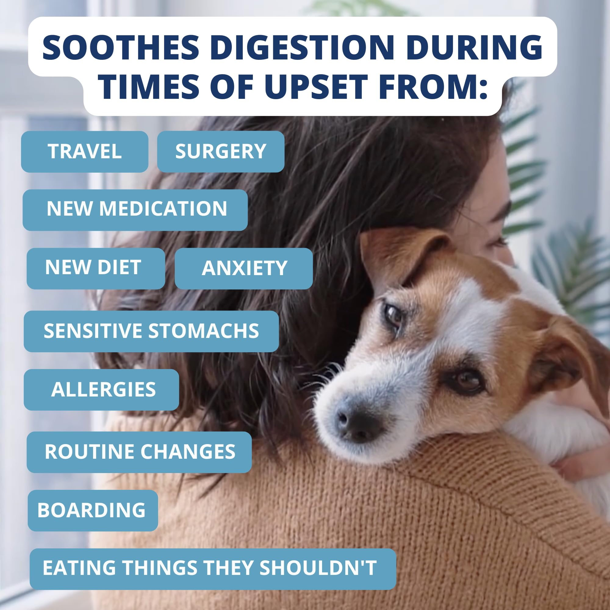 Serving suggestion with prepared rehydrated mix and bowl, Under the Weather Bland Diet for dogs