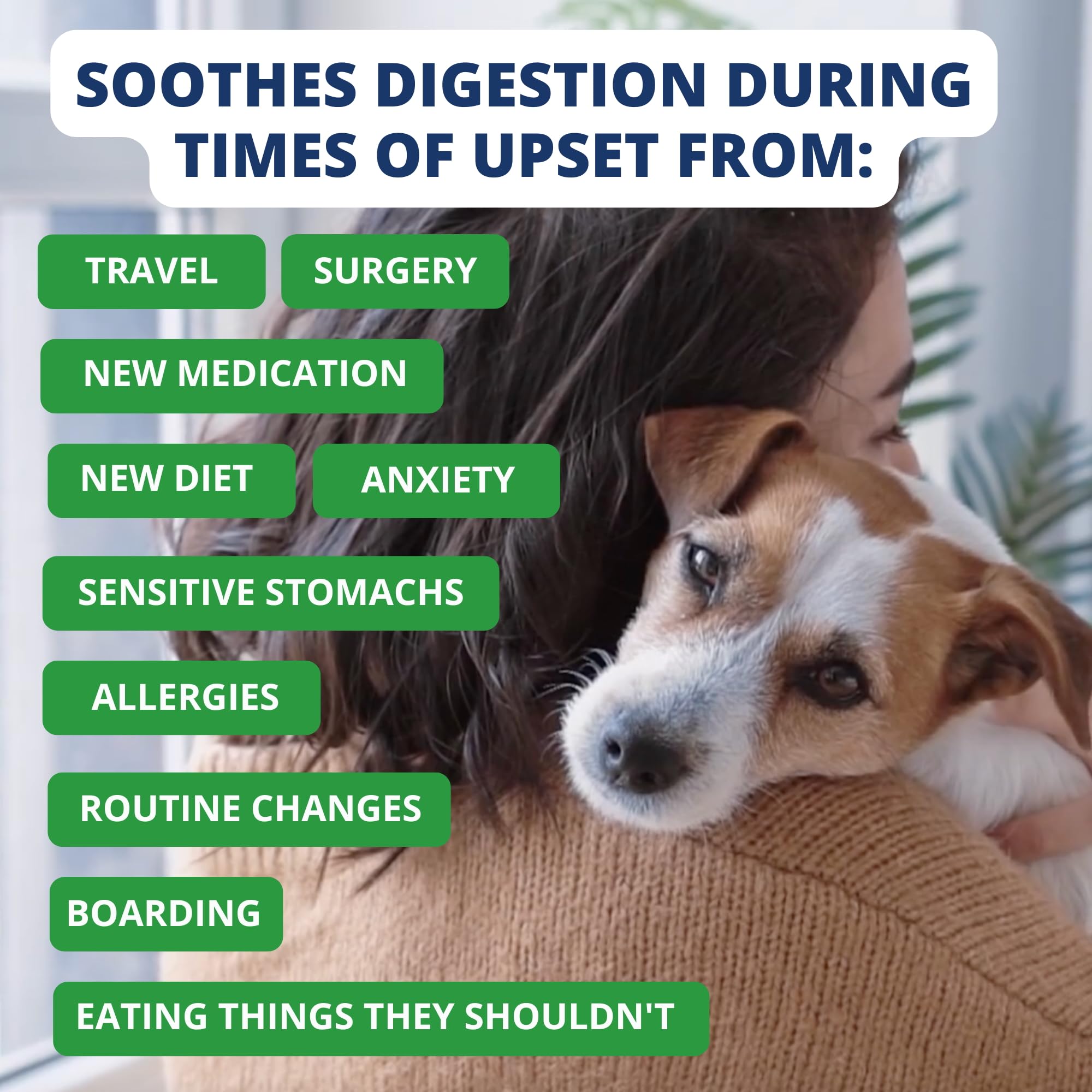 Under the Weather Bland Diet freeze-dried formula image, quick rehydration in minutes.