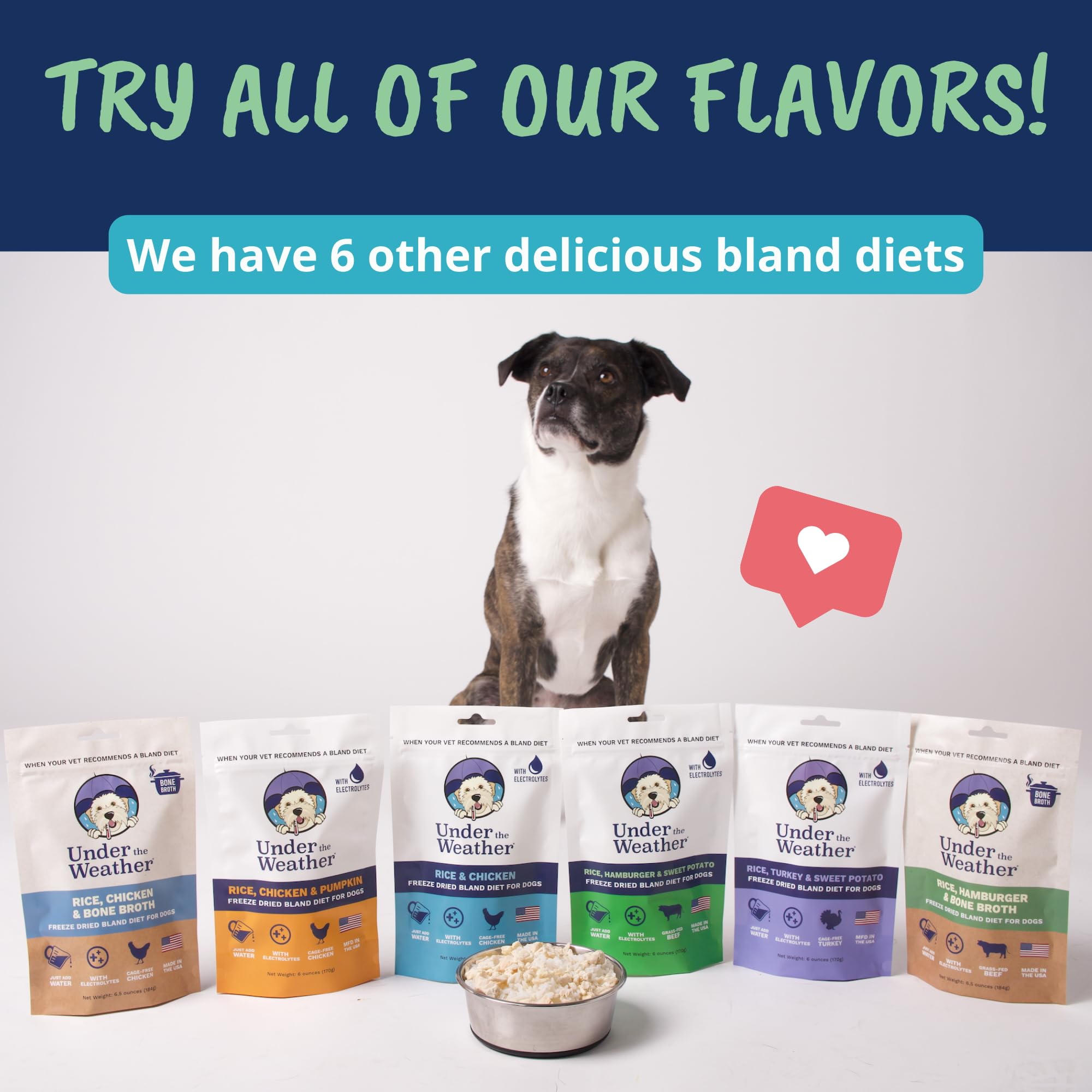 Under the Weather Bland Diet USA-made with human-grade ingredients