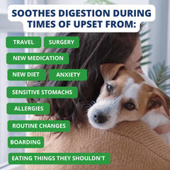 Under the Weather Bland Diet white rice and bone broth image signals digestion-friendly comfort.