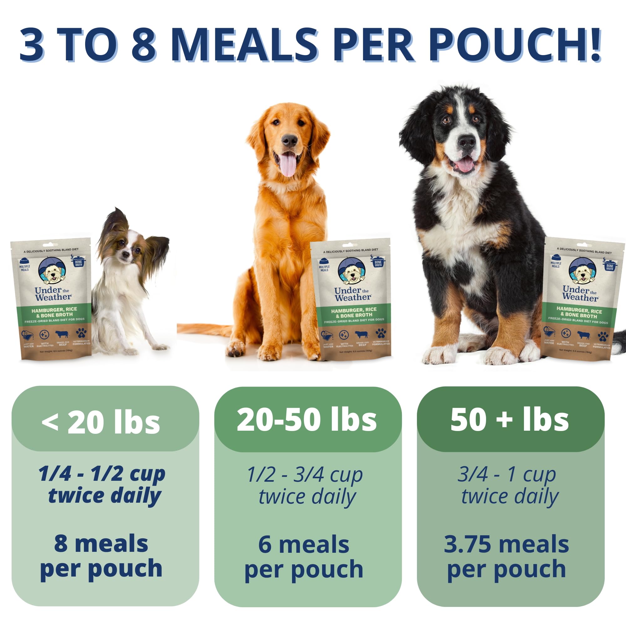 Under the Weather Bland Diet white rice image highlight, supports easy digestion and hydration.
