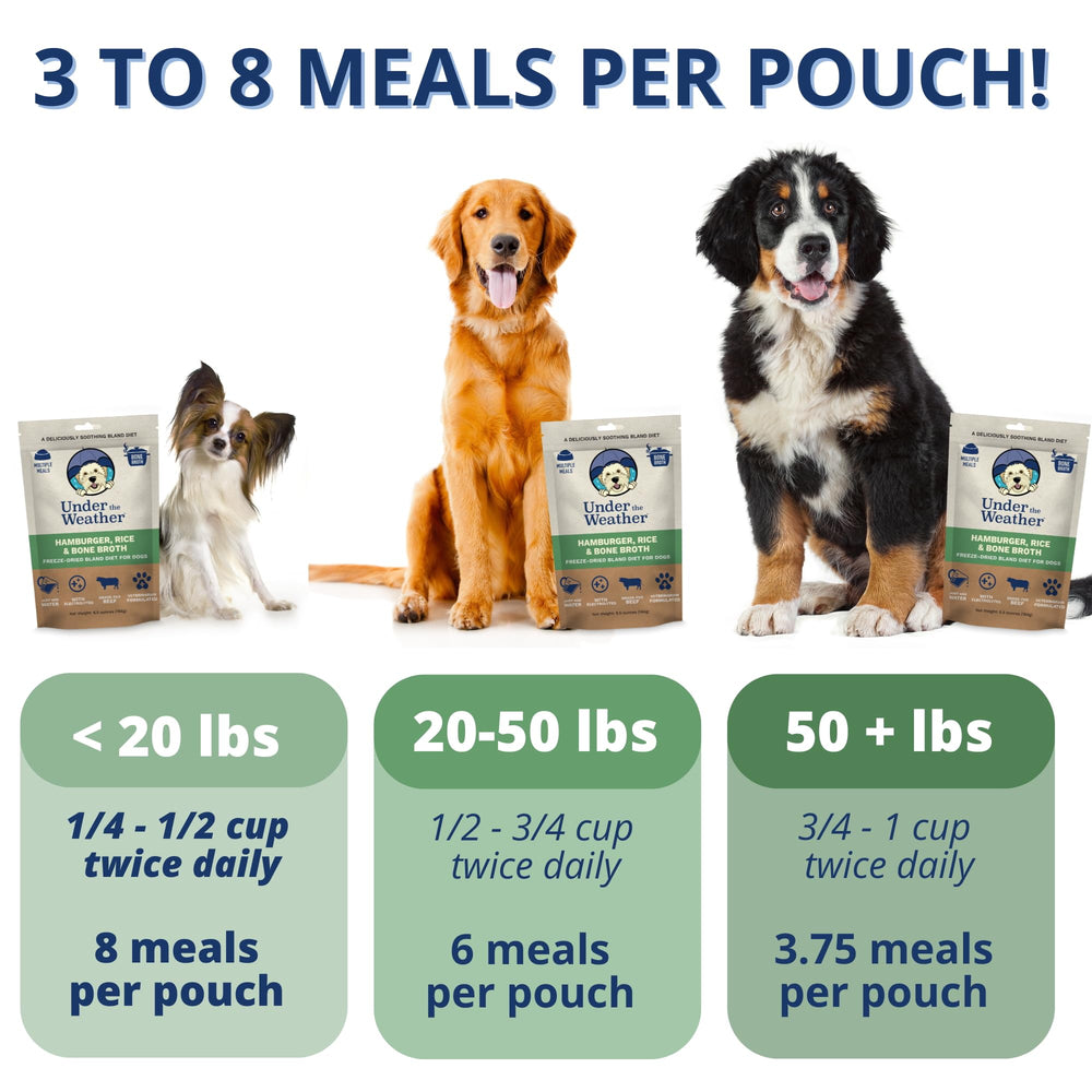 Under the Weather Bland Diet white rice image highlight, supports easy digestion and hydration.