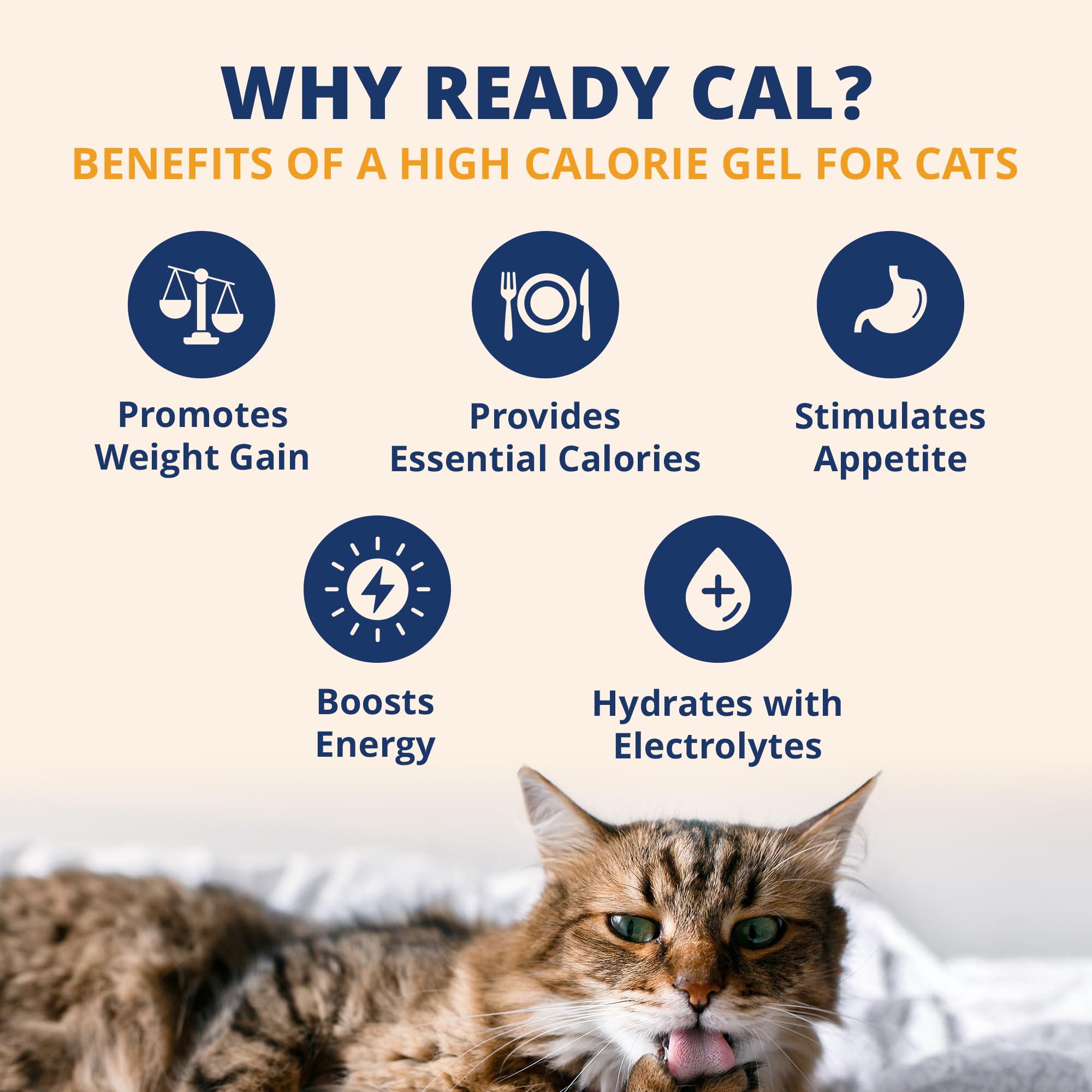 Under the Weather cat picky-eater gel aiding feeding