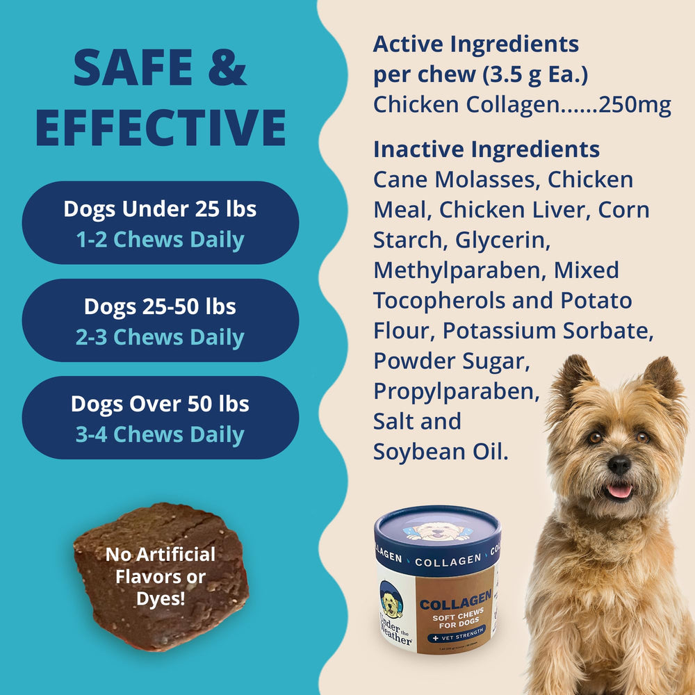 Under The Weather collagen chews 60-count jar for convenient daily use