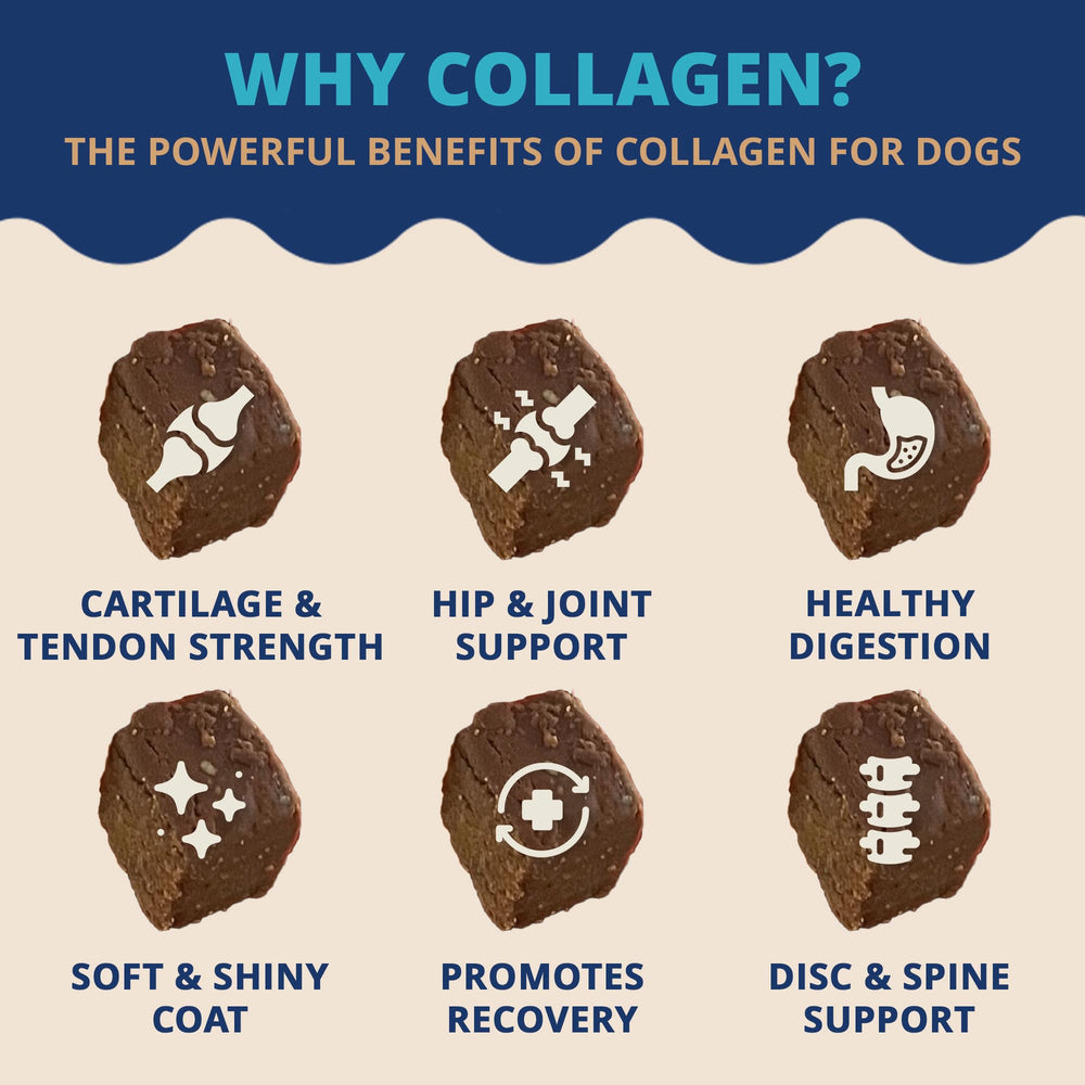 Under The Weather collagen chews for dogs aiding digestion and gut health