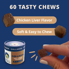 Under The Weather collagen chews for dogs supporting healthy skin and coat appearance